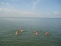 P8182395