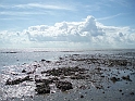P8193766